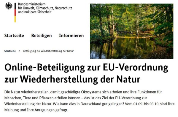 Bis 3. Oktober Ideen einbringen: Öffentlichkeitsbeteiligung zur Wiederherstellung der Natur!