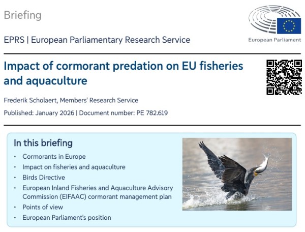 ​Auswirkungen der Kormoranpr&auml;dation auf die Fischerei und Aquakultur in der EU