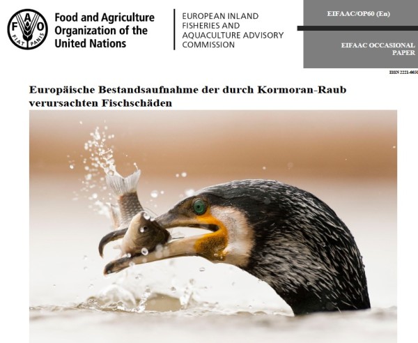 Die EIFAAC (European Inland Fisheries and Aquaculture Advisory Commission) hat die Ergebnisse der Erfassung von Kormoransch&auml;den in Europa ver&ouml;ffentlic