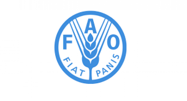 Fischkochbuch der FAO 
