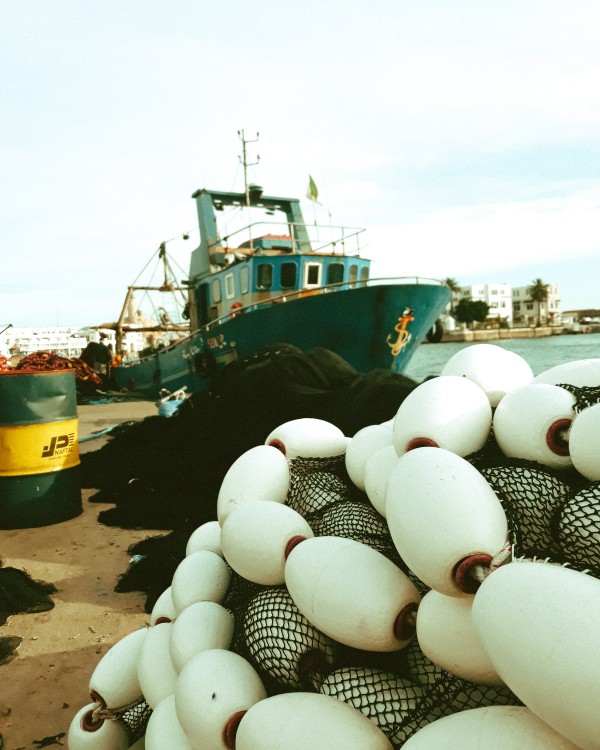 EU-Fischereirat legt Fangmöglichkeiten für Nordsee und Nordostatlantik fest – Fortsetzung der Maßnahmen zum Schutz des Europäischen Aalbestands beschl