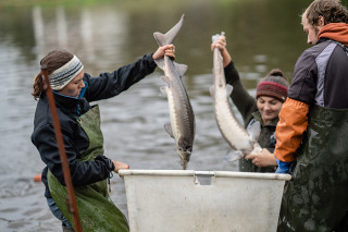 young-fischermen-masonry